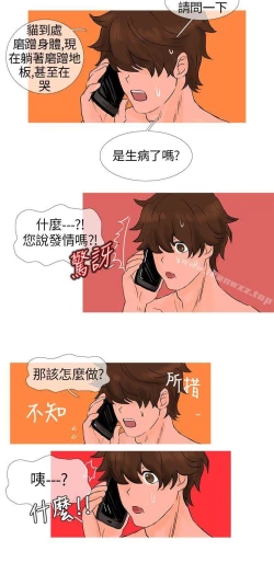 Page 29 of 小野貓馴服手冊