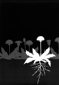 Page 177 of Tanpopo no Matsuri