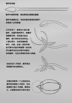 Page 294 of 寄生虫系列