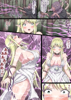 Page 11 of Nerawareta Onna Elf Elisia