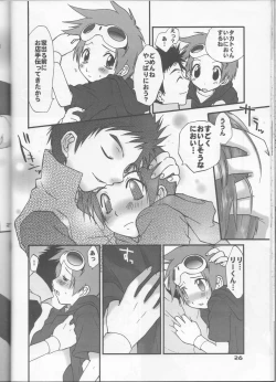 Page 27 of Iketeru Futari