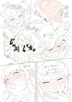 Page 23 of Zelda Summary