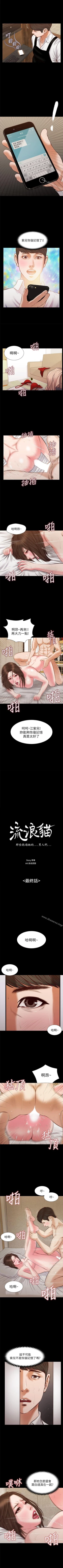 Page 192 of 流浪貓 1-40