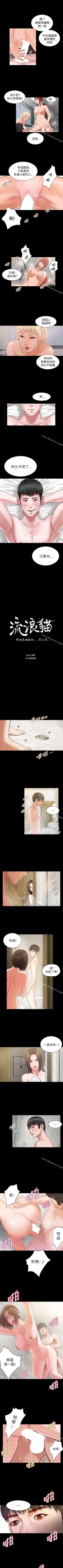 Page 41 of 流浪貓 1-40