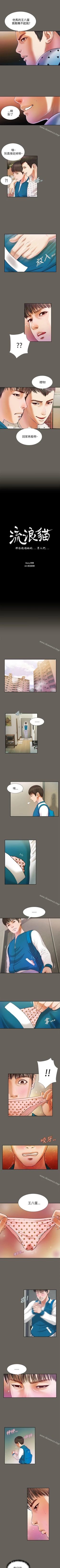 Page 61 of 流浪貓 1-40