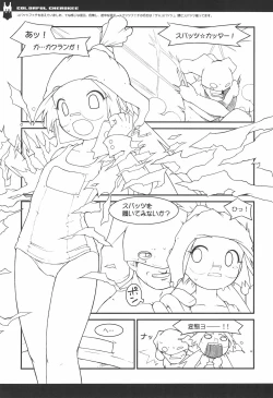 Page 14 of COLORFUL CHEROKEE