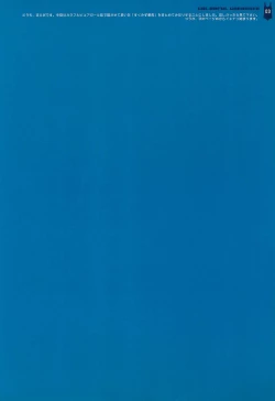 Page 3 of COLORFUL CHEROKEE