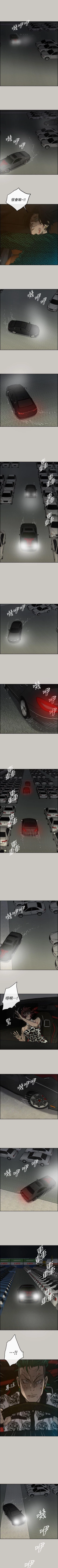 Page 268 of MAD:小姐與司機 1-57