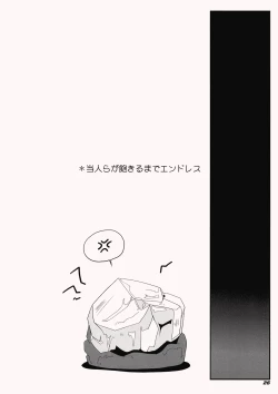 Page 27 of TOHO N+ QF