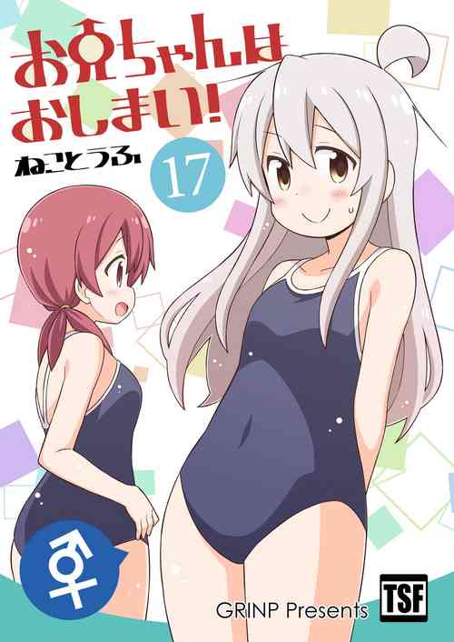 Download Onii-chan wa Oshimai! 17