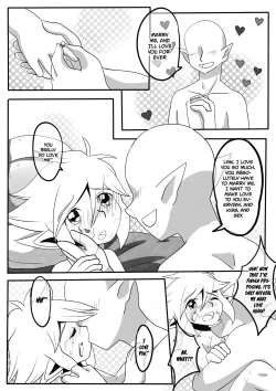 Page 16 of 小機関士リンク - 【漫畫】4つの剣+ 勇者墮