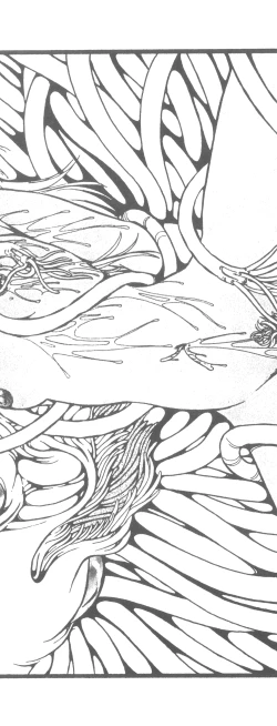 Page 4 of Washi Jaa!!