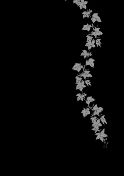 Page 64 of Joujou Tenjou | Wrap Around