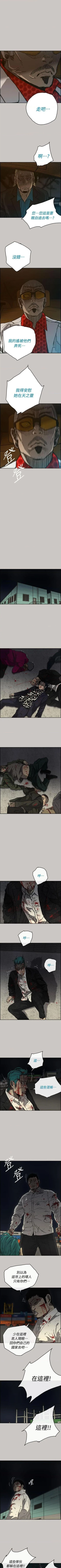 Page 248 of MAD:小姐與司機57