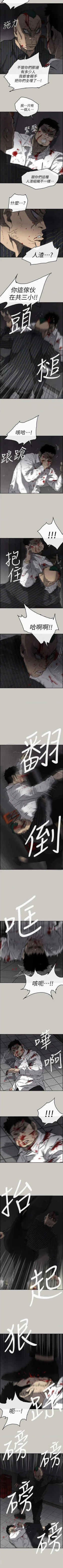 Page 339 of MAD:小姐與司機57