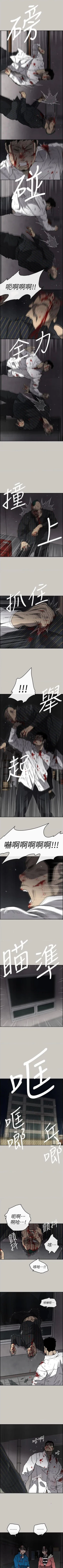 Page 348 of MAD:小姐與司機57