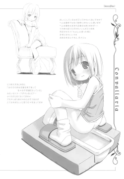 Page 14 of CONVALLARIA