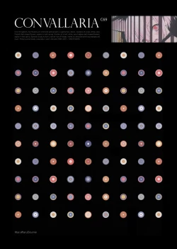 Page 17 of CONVALLARIA