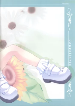 Page 6 of CONVALLARIA