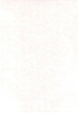 Page 4 of LITTLE MoMo