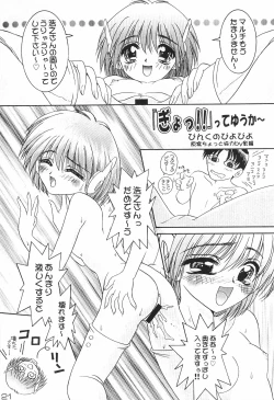 Page 23 of SAKURA H-TUNE 2