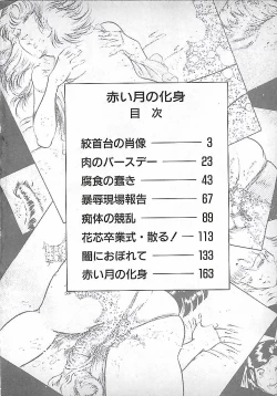 Page 5 of Akai Tsuki No Keshin