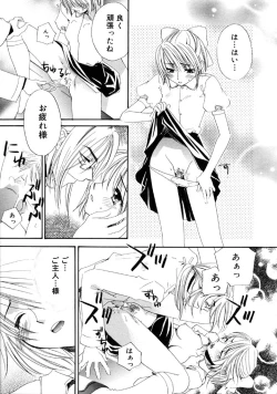 Page 146 of First Love