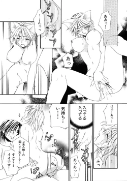 Page 50 of First Love