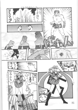 Page 30 of Sieg Heil 5