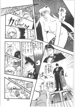 Page 33 of Sieg Heil 5