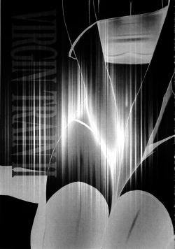 Page 129 of Virgin Train 2