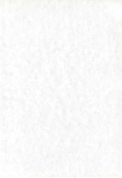 Page 4 of MANITOU SX