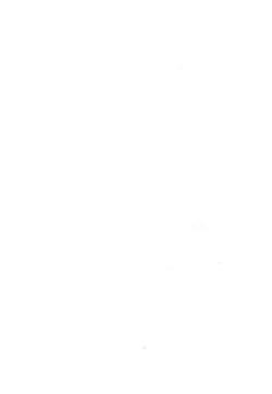 Page 19 of A witch on the wind hill