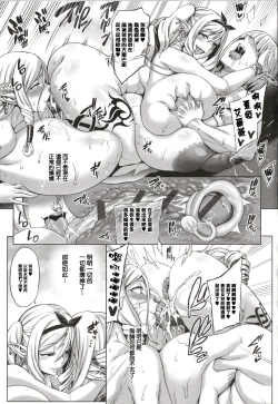 Page 253 of Houjou no Reizoku Elf