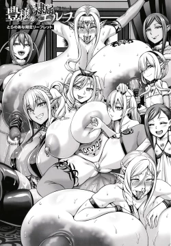 Page 256 of Houjou no Reizoku Elf