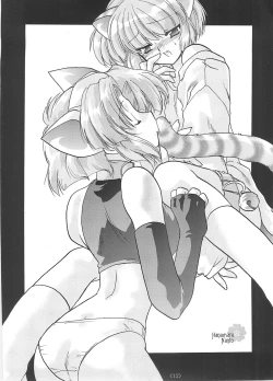 Page 11 of I&R RB Works Bangai