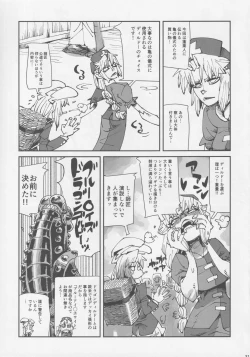 Page 30 of Touhou Okaimono Goudoushi side