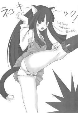 Page 25 of Vortex Symphony