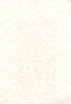 Page 3 of Magical Night 3