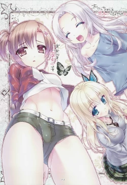 Page 3 of Irodori no Sho San