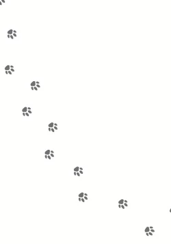 Page 169 of Fukurou no Koiwazurai | 猫头鹰的相思病