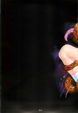 Page 13 of RB-WORKS BACKUP Injuu Maboroshi Yume