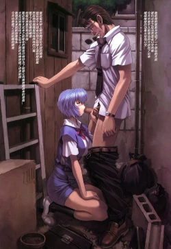 Page 11 of Ayanami 5 Meirei Hen