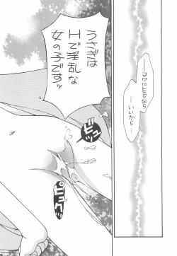 Page 24 of USA FORCE