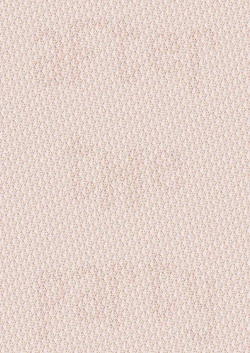 Page 19 of RacySympathy