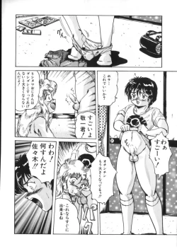 Page 161 of Yousei Nikki 2