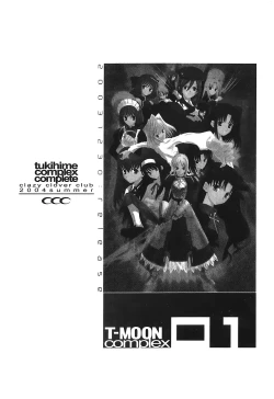 Page 134 of Tsukihime 3