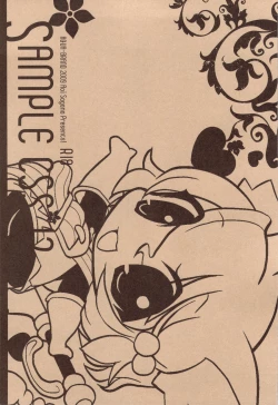 Page 3 of SAMPLE-CSS 12