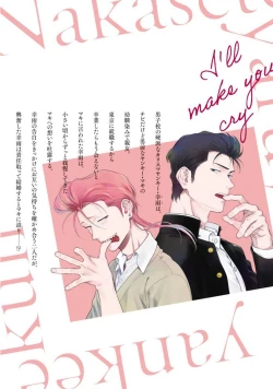 Page 11 of Nakasete Yaru yo Yankee-kun | 让你哭噢小混混 番外