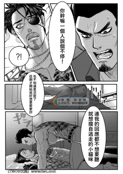 Page 17 of Gokudou Ningyo Majima